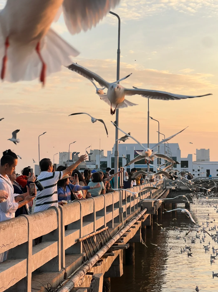 泰国北榄府海边的风景怎么样（在曼谷怎么去北榄府）