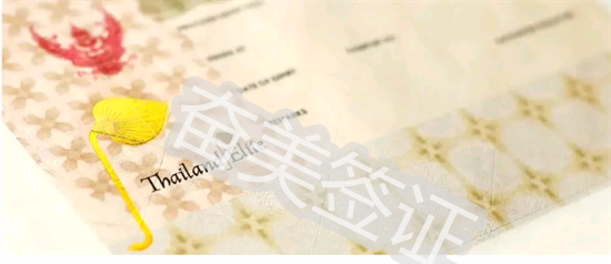 泰国精英签证是特殊的签证吗（精英签证的审核时间要多久）