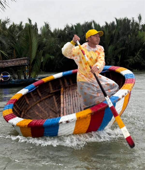 越南是市场经济国家吗(侧重领域)