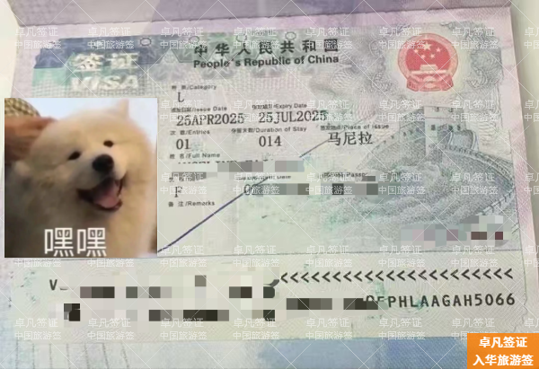 菲律宾去中国旅游签证要什么(怎么申请)