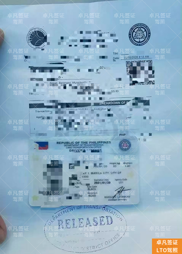 2026年菲律宾驾照更新指南：政策变化、在线申请流程与电子驾照详解