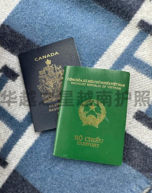 越南人在中国补办护照流程（在中国补办护照的地址）