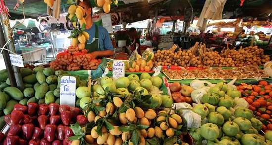 菲律宾特产水果（主要水果特产汇总）