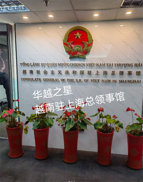 中国办越南签证在哪里办理（中国办越南签证流程）