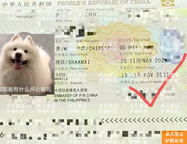 护照补办 (7).jpg 在菲律宾丢失护照后补办详情——手把手教你应急与补办流程