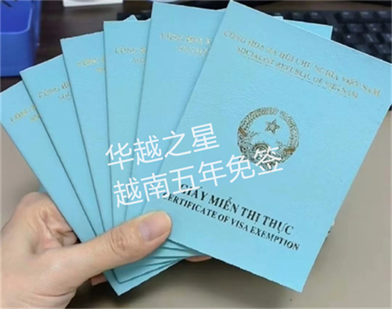 越南5年探亲签证办理资料（越南五年免签如何流程）
