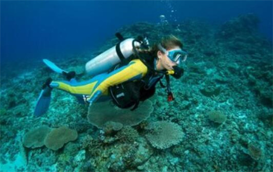 菲律宾不同地区的潜水季节 菲律宾潜水地区介绍