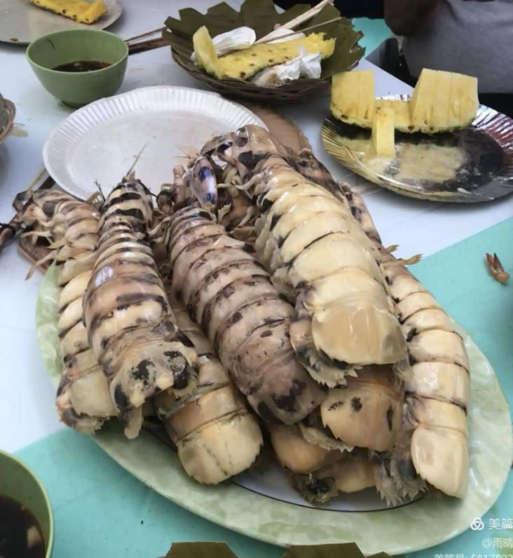 菲律宾薄荷岛河边海鲜贵吗(海鲜的种类)