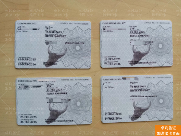 菲律宾有电子签证吗(办理材料)