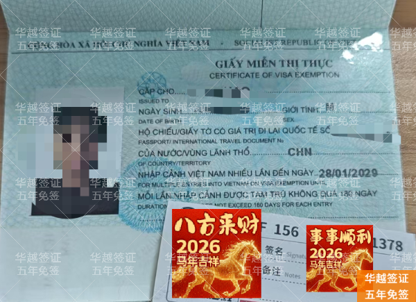 越南5年免签政策深度解析：婴儿家庭如何受益