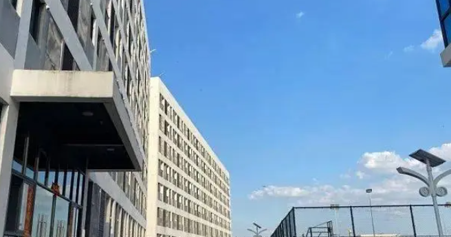 Pogo禁令对菲律宾银行的影响有限