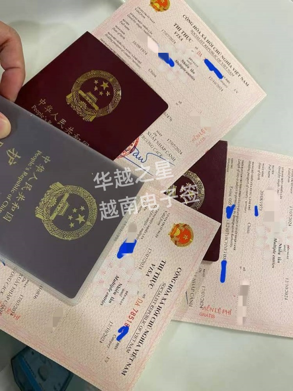 中国申请越南电子签证有效期(电子签证的材料)
