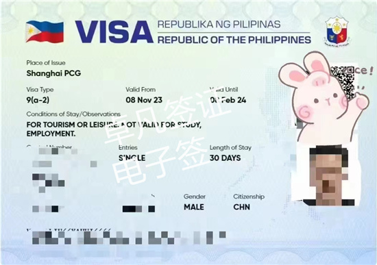 去菲律宾电子签证（电子签办理需要什么材料）