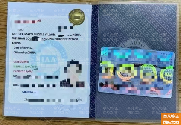 菲律宾国际驾照怎么申请(在韩国通用吗)