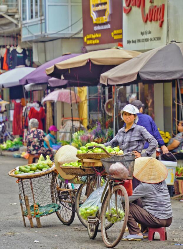 越南探亲签证可以做生意吗（商务签证办理的流程）