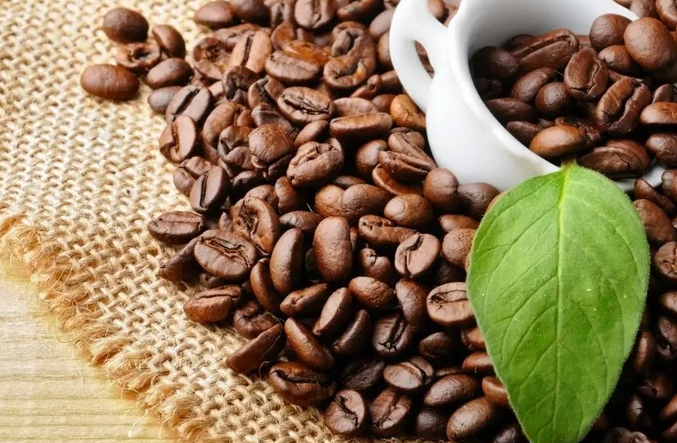 越南咖啡出口额有望破50亿美元的大关
