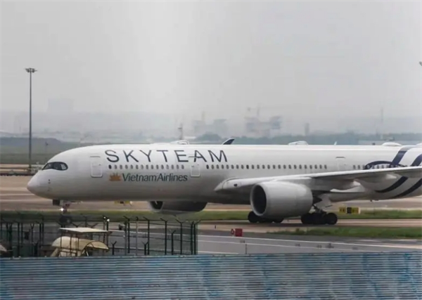 越南航空入境会不让入境吗(都有哪些理由)