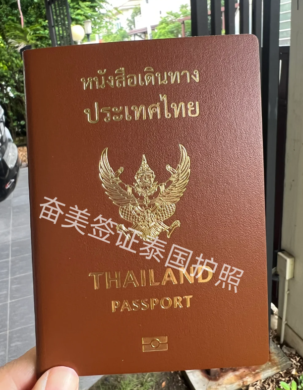 旧护照丢了要怎么办泰国签证（能在泰国补办护照吗）