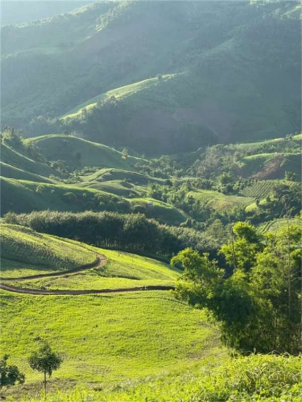 泰国旅游最受欢迎的景点(要做攻略吗)