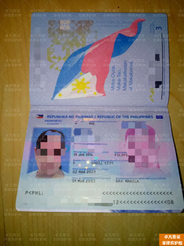 菲律宾护照能入境哪些免签国家(怎么申请)