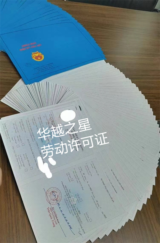去越南工作签证办理材料要求（工作签证办理的流程）
