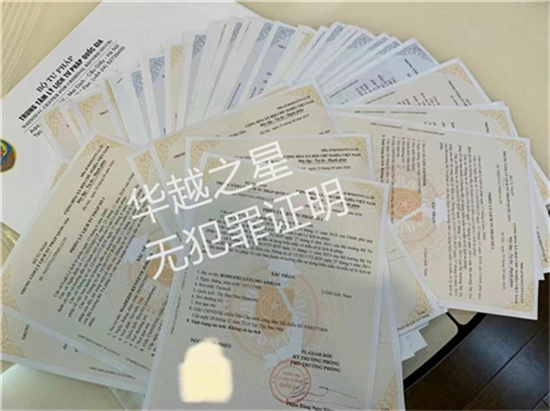 越南司法局办无犯罪证明要哪些材料(办理流程)