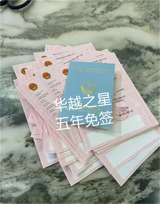 南京申请越南探亲签证价格（越南探亲签证流程）
