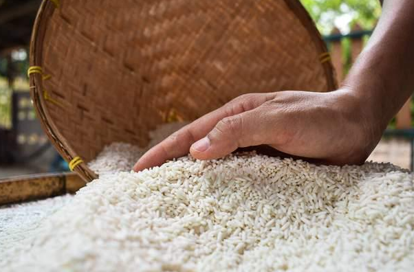 菲律宾：预计9月米价跌至20%