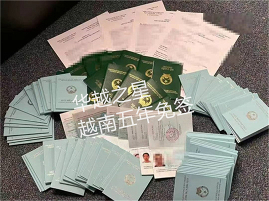 申请五年签证入境越南多少钱（越南五年签证材料）