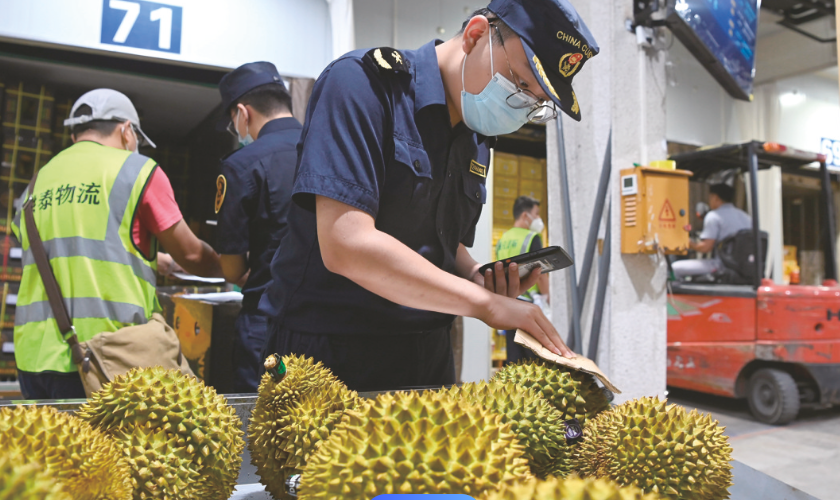 推动越南冷冻榴莲正关出口到中国