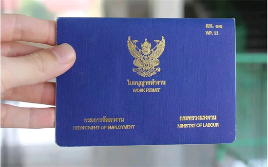 泰国工作电子签证怎么申请（泰国工作签证怎么获得的）