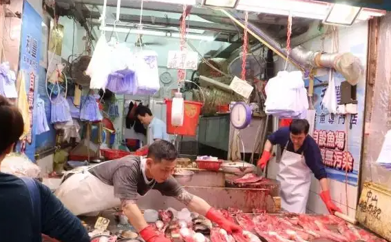 越媒：我国香港成为越南最大肉和肉制品进口商场