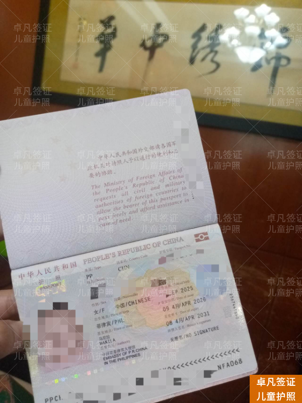 在菲律宾出生的孩子能办中国护照吗？一篇讲清条件与全流程