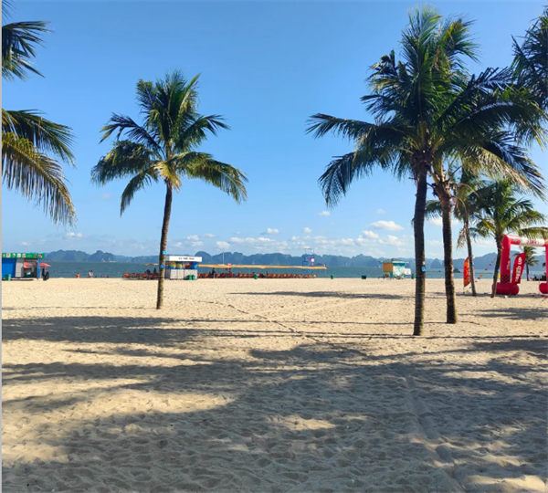 越南下龙市旅游有沙滩吗(有什么美食推荐)