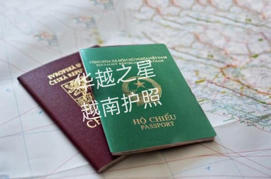 越南工作签证体检全攻略：准备清单与时间规划