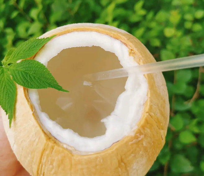泰国香水椰子价格飙涨 批发每颗近80铢