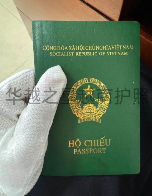 越南人在中国补办护照流程（在中国补办护照的地址）