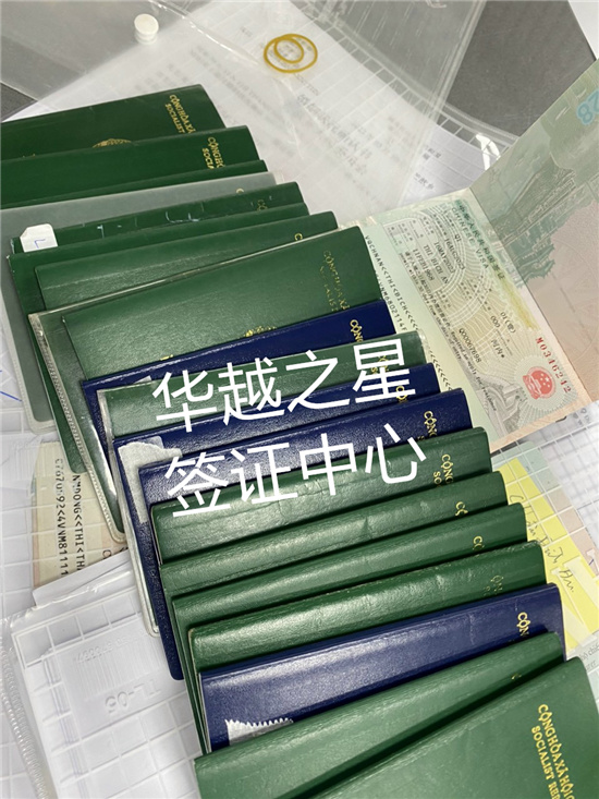 越南签证类型推荐中国公民（签证的申请方式有哪些）