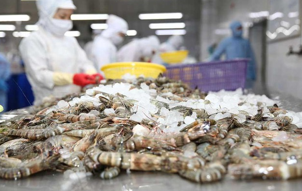 越南虾类出口面临“逆流而上