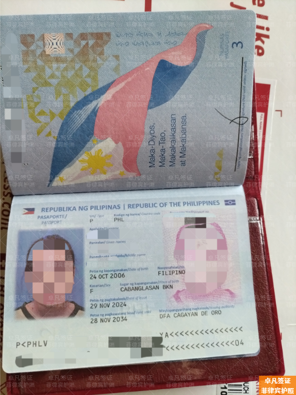 中国人申请入籍菲律宾的条件(流程是什么)