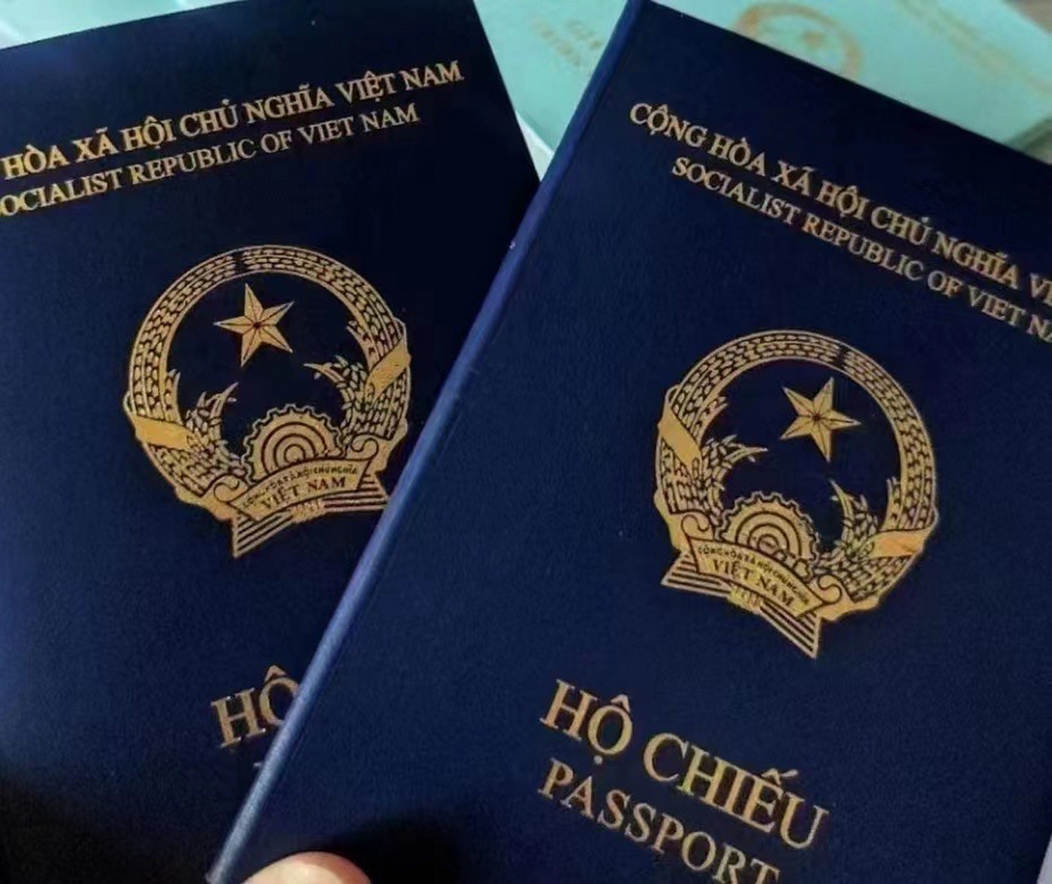 越南大使馆可以补办护照吗（越南大使馆补办护照要多久）