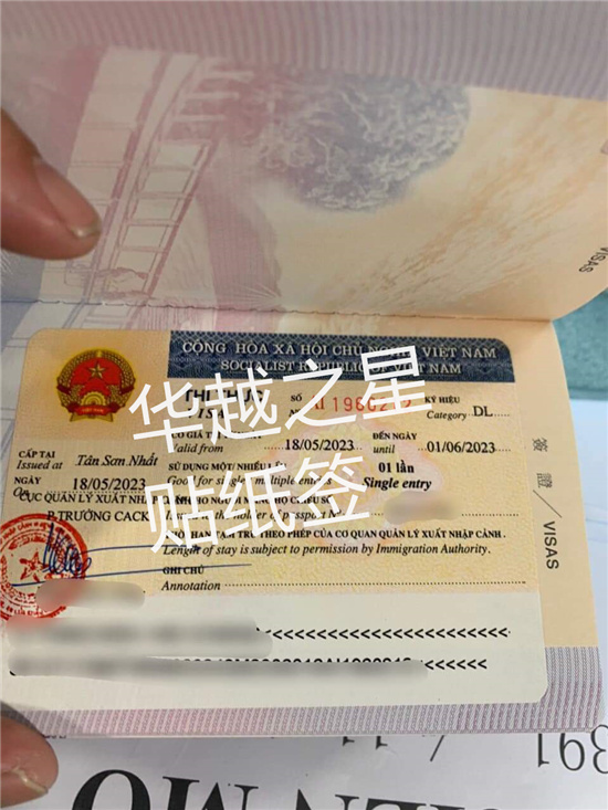 越南旅游签代办（越南旅游签怎么样办理）