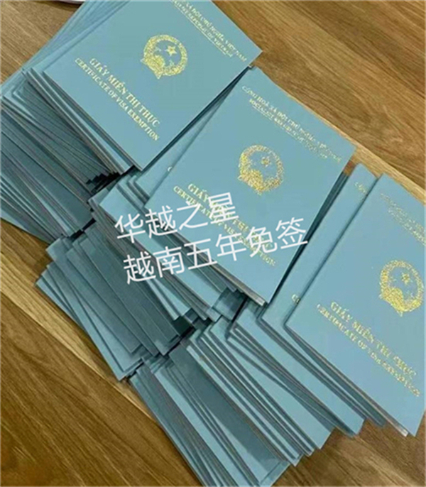 去越南探亲签证多少钱一个(要准备哪些材料)