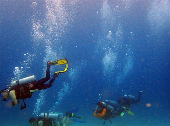 菲律宾潜水时间（潜水点推荐）