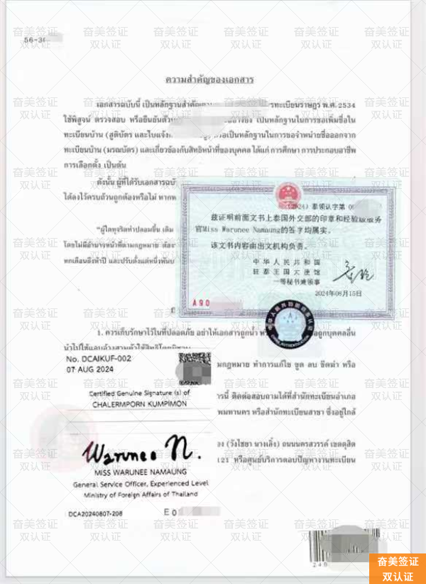 如何通过官方渠道与专业代办加速办理