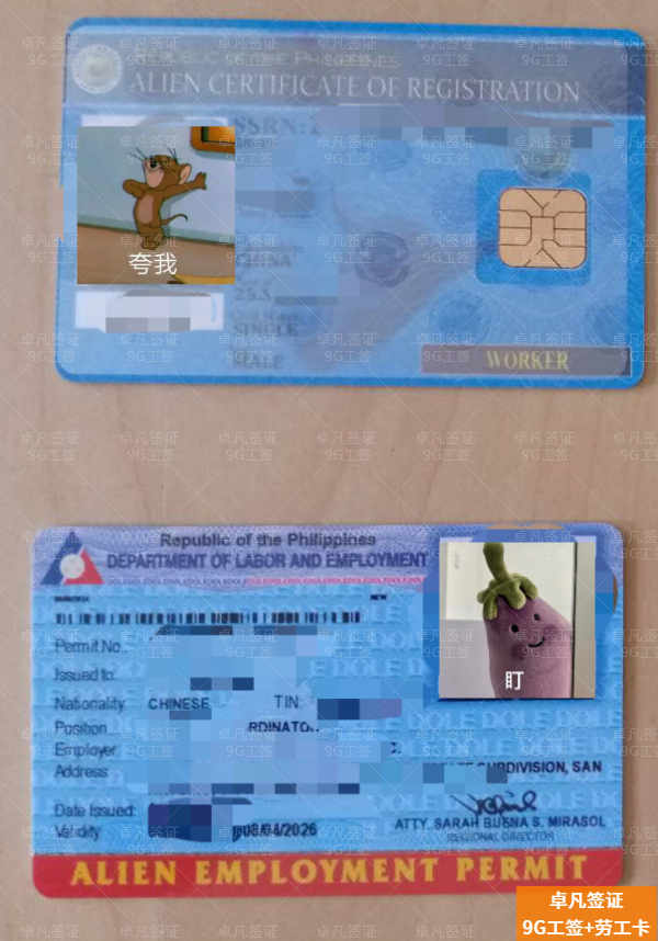 菲律宾9g工签怎么申请(可以呆多久)