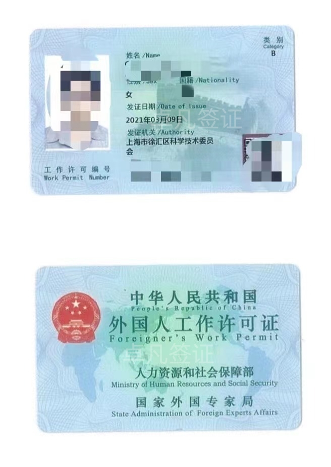 菲律宾人来华工作签证办理（办理入华工作签证的条件）