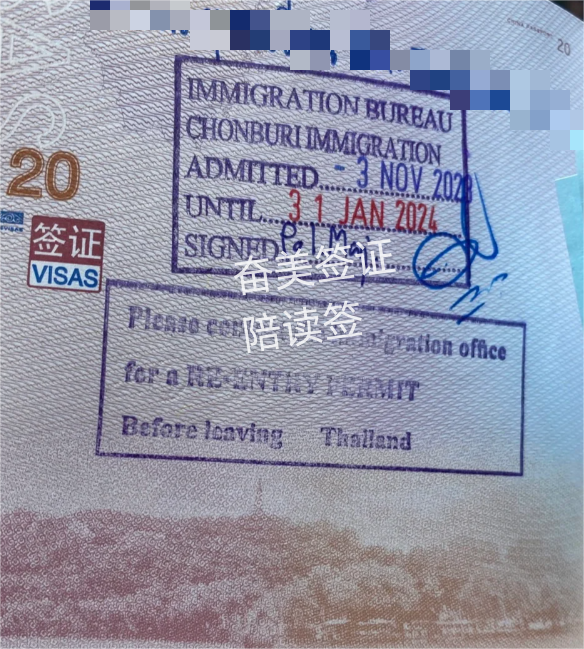 泰国陪读签证核心文件：无犯罪证明深度解析与高效办理指南