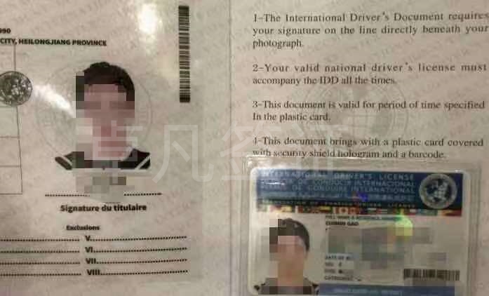 菲律宾驾照国际驾照图片样式
