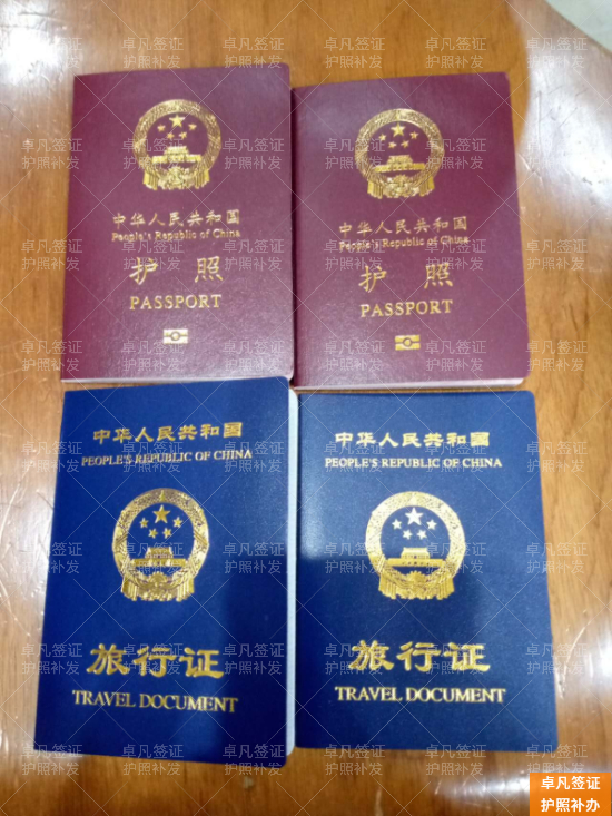 护照补办 (14).jpg 紧急补救!在菲换照申请被拒后,你必须知道的重新提交关键步骤(附官方无明确期限真相)